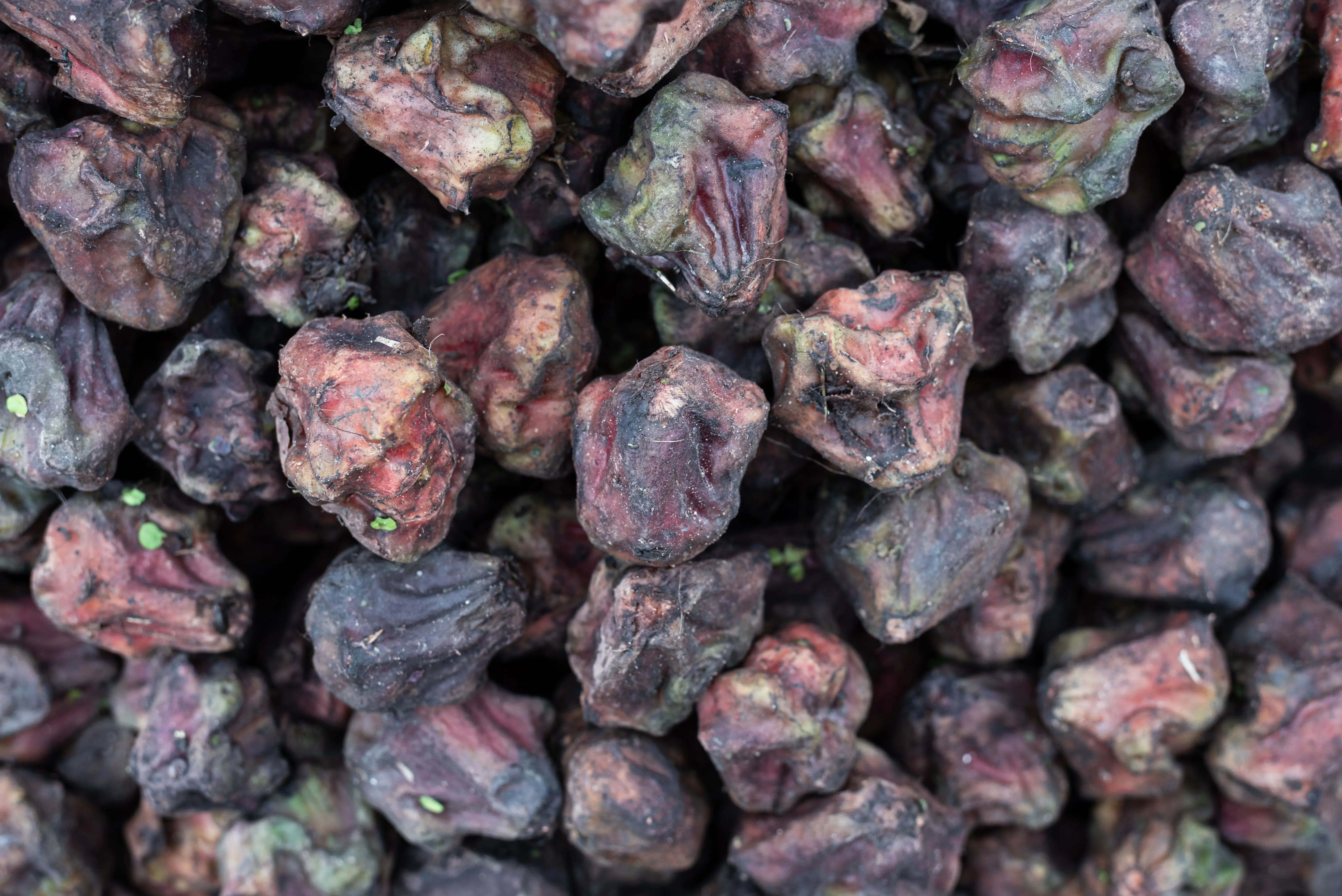 Singhara (Water Chestnut) Ayurvedic Benefits and Uses